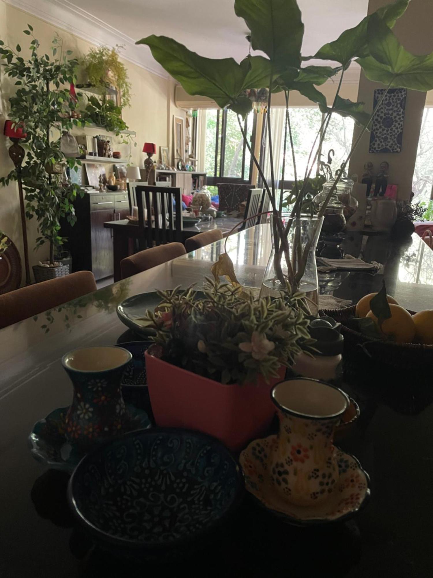 Bed & Breakfast House With Garden View - Female Only Cairo